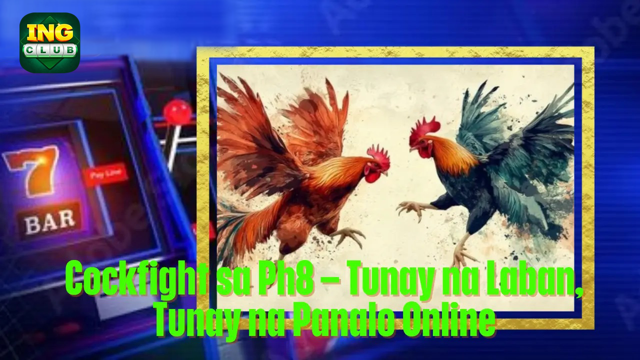 aagame cockfight betting content is adjusted for India while keeping the livestream format, match analysis, odds flow, and responsible betting points while keeping the casino, bonus, payment, and gameplay details useful for search and conversion. The copy also keeps the focus on cockfight, tunay, laban.